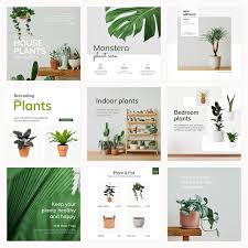 Houseplant Vector Template Set For