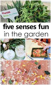 Using All Five Senses In The Garden