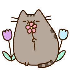 Pusheen Kitten Area Flower Cat