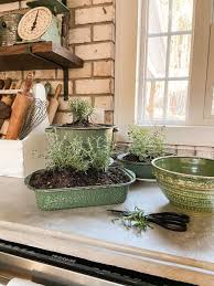 How To Start An Indoor Herb Garden In