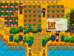 Stardew Valley Co Op How To Start Your