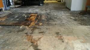 Repair Hardwood Floor Water Damage