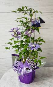 Blais Flowers Garden Center