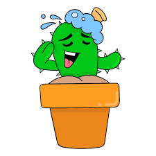 The Cactus Is In The Bath Pot Garden