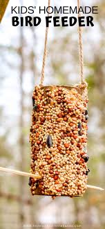 Toilet Paper Roll Bird Feeder Little