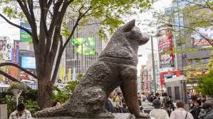 Hachiko Most Loyal Dog In History