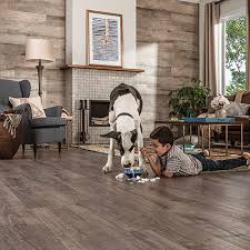 Best Flooring For Dogs