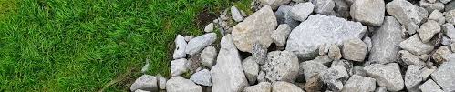 How To Get Rid Of Rocks In Your Yard