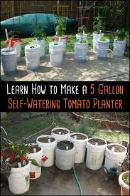 Self Watering Tomato Planter