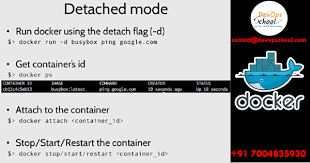 docker tutorials detached d mode in