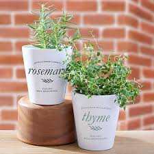 Herb Garden Personalized Mini Flower Pots
