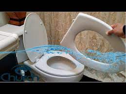 Replace A Broken Toilet Seat Cover