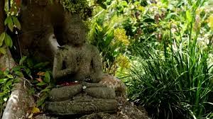 Buddha Statue In The Rainforest And