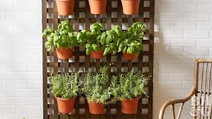 Vertical Garden Diy Plants