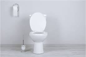 Identifying And Resolving Toilet Leaks