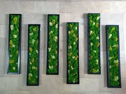 Green Moss Wall Decor Frame For