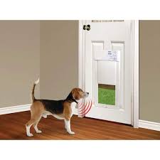 Fully Automatic Dog And Cat Pet Door