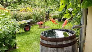 14 Tips To Help Save Water In Your Garden