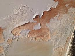 What Is Rising Damp How To Treat It