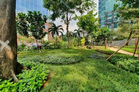 Jasa Taman Jakarta Barat Tukang Kebun