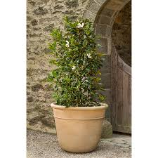 Carema Extra Large Outdoor Planter