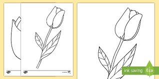 Tulip Template Colouring Pages Teacher