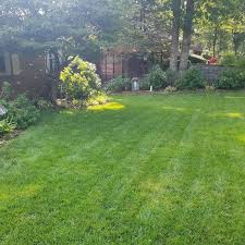 Corn Gluten Weed Preventer Plus Lawn