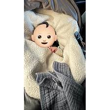 Jj Cole Bundle Me Winter Baby Car Seat