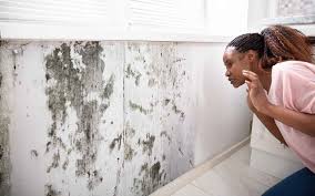Clean And Get Rid Of Mold