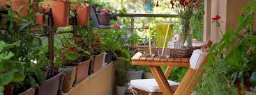 How You Can Start A Balcony Garden