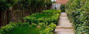 6 Low Cost Garden Paths You Can Build