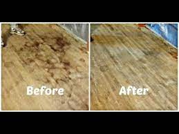 Pet Urine Stains From Hardwood Floors