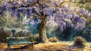 Wisteria Tree And A Bench Background