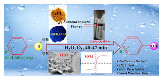 Synthesis Of Phenols In Water