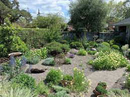 Drought Tolerant Landscaping Ideas