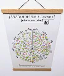 Seasonal Vegetable Sowing Calendar