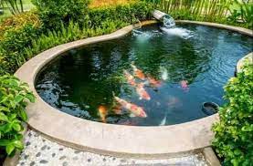 Fish Pond At Best In Chennai By