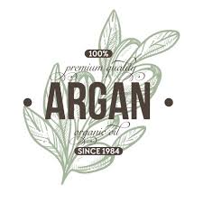 Argan Plant Icon Vector Images Over 170