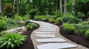 Meandering Path Images Browse 691 337