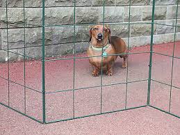 Folding Dog Fence Gate Barrier Fencing