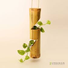Bamboo Ninjacut Hanging Planter