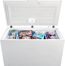 7 Best Chest Freezers Of 2023 Reviewed