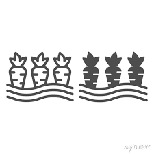 Carrots In Ground Line And Solid Icon