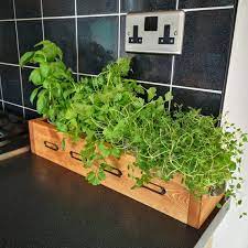 Kitchen Planter Indoor Herb Garden