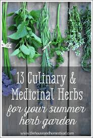 13 Culinary And Medicinal Herbs To Grow