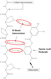 biocal s of tannic acid