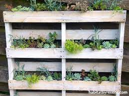 Make A Pallet Wall Garden Habitat By