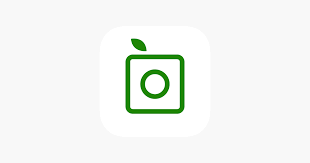 Plantsnap Plant Identifier On The App