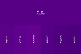 Indigo Color Hex Code Shades And