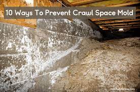 Crawlspace Mold Removal